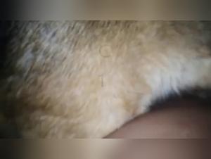 Afterhours: Wild parties not to be missed