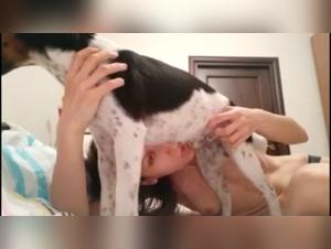 Milking: An Exciting Zoophilia Experience