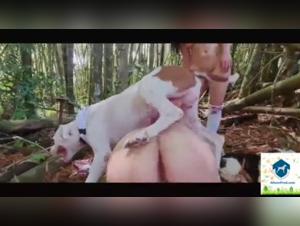 Bestiality and sex with dogs: Alison and her canine friend