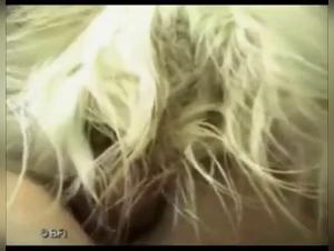 Verbotene Begegnung: Frau und Hund