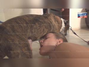 Extreme Zoophilia - Russia: Young Girl and Dog