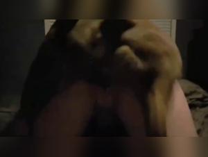 Unleash Your Desires: Bestiality Video Collection