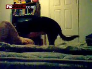 Dog Sex Video - Watch a Woman Alone with Her Dog