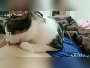 sensual woman dog encounter