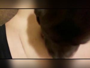 Zoophilia scene with a dog and a woman