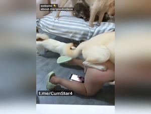2 Dogs Fuck Girl