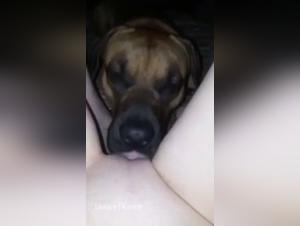 A Forbidden Love Story: Woman and Dog