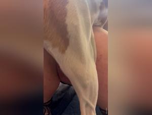 Model Fucked by Dog Oral