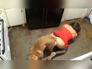 Femme défonce chien, découverte traîtresse surprise