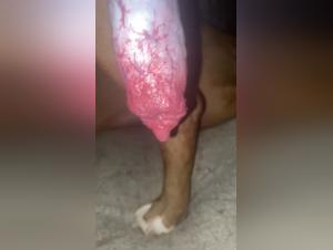 Bestiality: a woman and a dog in a hot video