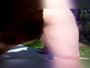 Bestiality: Woman and dog