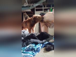 Forbidden Zooville Desires