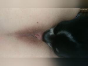 Zeljka e il Su Cane: Video XXX
