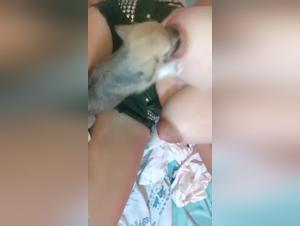 Exploring the Dark Side of Zoophilia Cartoons