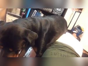 woman filming dog action