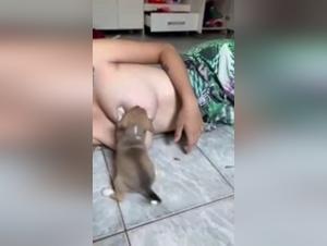 Bestial and intense encounter - Zoophilia video in 480p