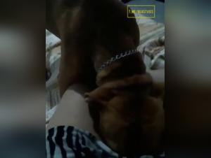Hund Sex mit Frau Extrem