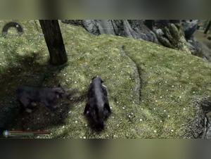 Skyrim NSFW: Milly und Hund Szene 1