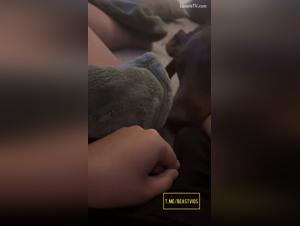 dégustez son sexe licked par chien, porno hardcore