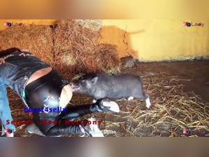 Dog Fuck Horror: Boar Horizons - Extreme Scenes
