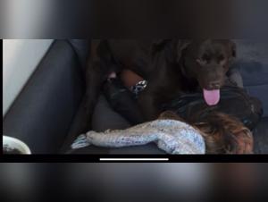 mon chien me baise violemment jusqu'à l'orgasme