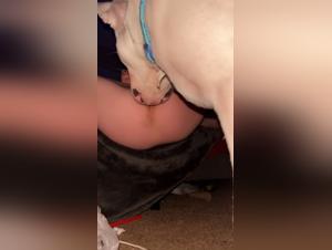 Bestiality with Dogs: The Hottest Sex Scenes