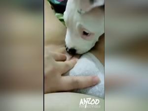 Bestiality in the Countryside