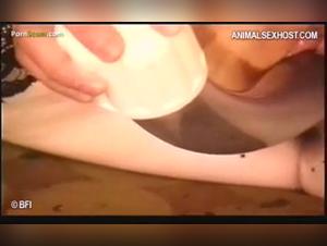 Bestiality and extreme sex with a mouse