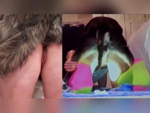 Doggy Heaven: Tiersex Extreme
