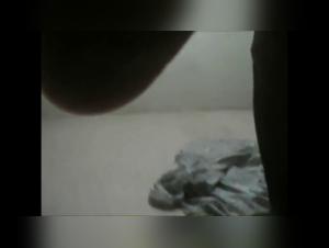 Miss F and her zoophilic adventure with a husky