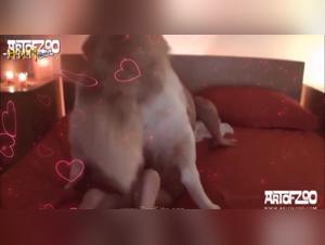 Fantasmes Animaux: Baise