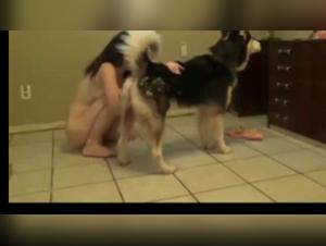 Hund vergewaltigt Frau brutal