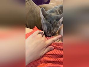 Exploring Intimate Bonds: Women & Dogs