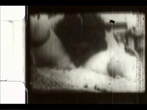 vintage lesbian dog sex film