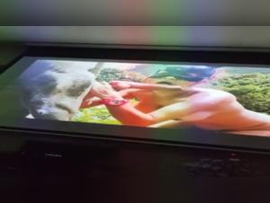 Couple and bestiality videos: an intense experience