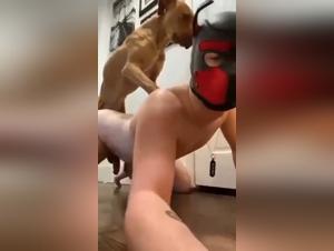 pushing artzoo's boundaries