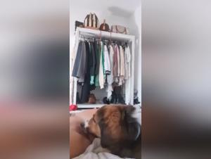 Woman and dog: a shocking bestiality sex video
