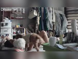verborgene cams: hund sex, tierischer wildsinn