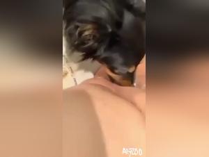 deep dive into tickzoo porn