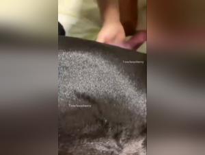 Lexycherrry Zoophilia