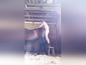 Bestiality sex: Man and horse