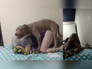 Extreme Dog Sex Reactions 142/144