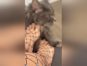 Cat Feet Lick Pt3 - Hardcore