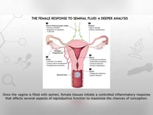 Bestiality Guide: How to Have Sex with Dogs