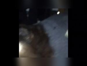 Bestiality: a woman and a dog in a forbidden encounter