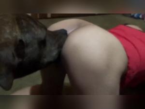 Bestiality Videos with Dogs of Women - Explicit Content