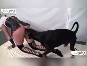 Perra Domina: Placer Canino - BFI Dfdv023