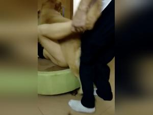 Bestiality Sex Video: Man and Dog