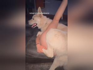 Model Zoophilia Dog Sex