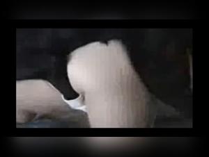 Bestiality: She Embraces Her Passion for Sex with Her Dog